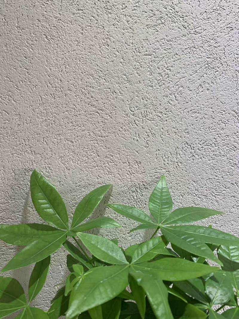 萬磊雅晶石  內(nèi)附施工視頻，史上最全的雅晶石全攻略收錄